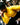 Gold Rush Hoodie - yellow